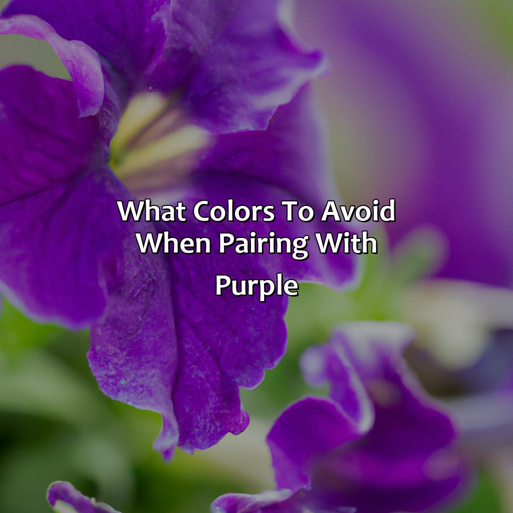 What Colors To Avoid When Pairing With Purple?  - What Goes With The Color Purple, 