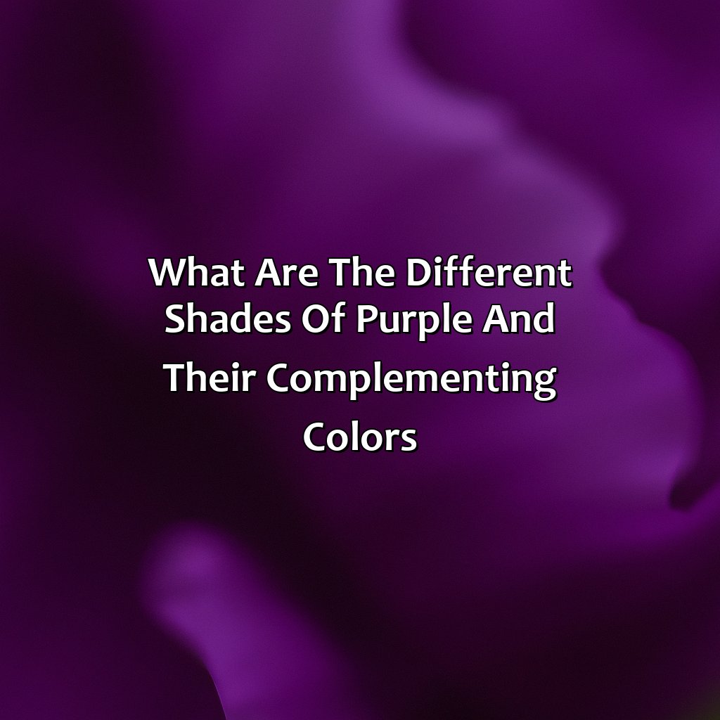 What Are The Different Shades Of Purple And Their Complementing Colors?  - What Goes With The Color Purple, 