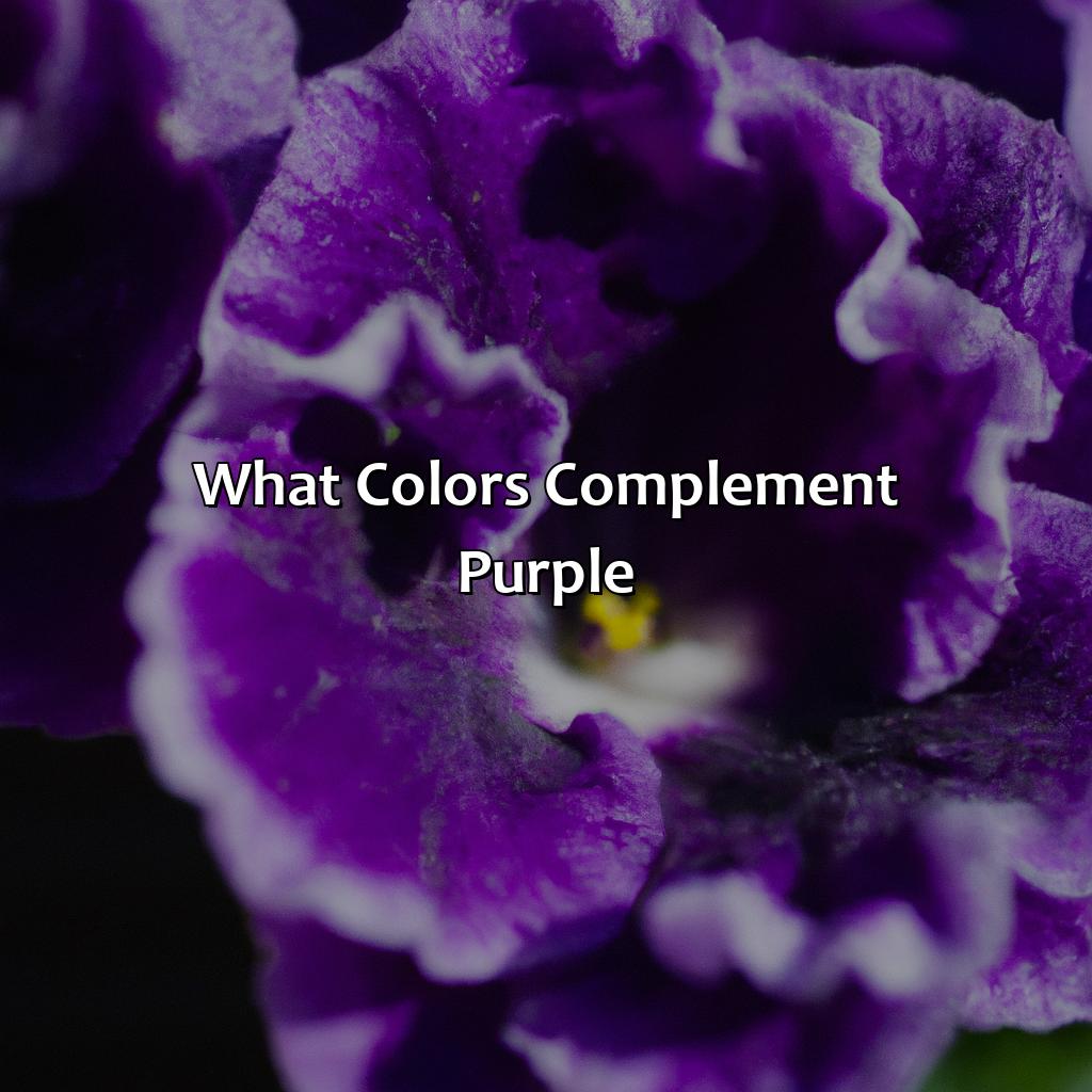 What Colors Complement Purple?  - What Goes With The Color Purple, 