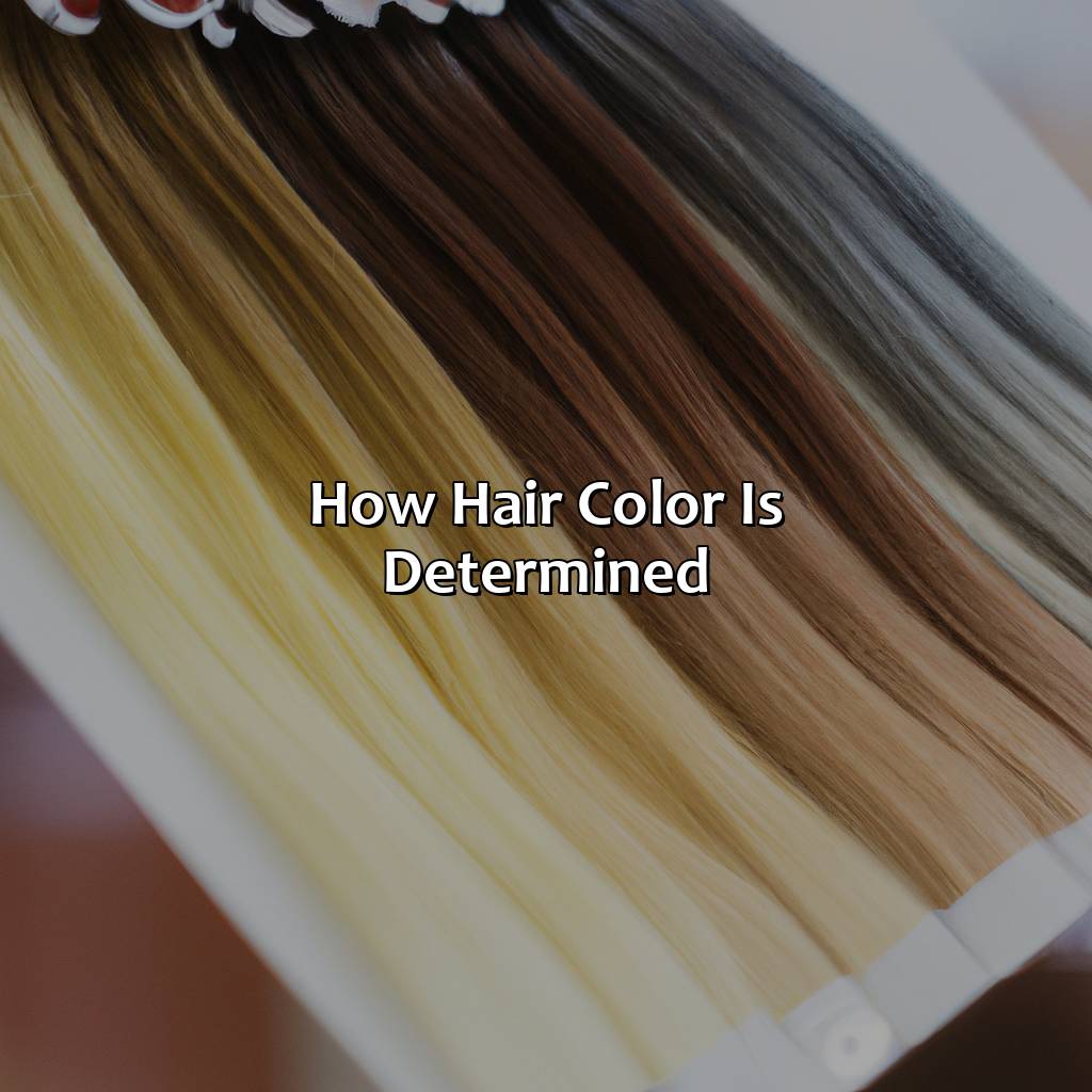 How Hair Color Is Determined  - What Hair Color Will My Baby Have, 
