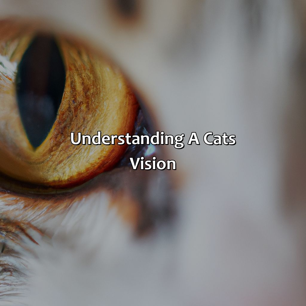 Understanding A Cat