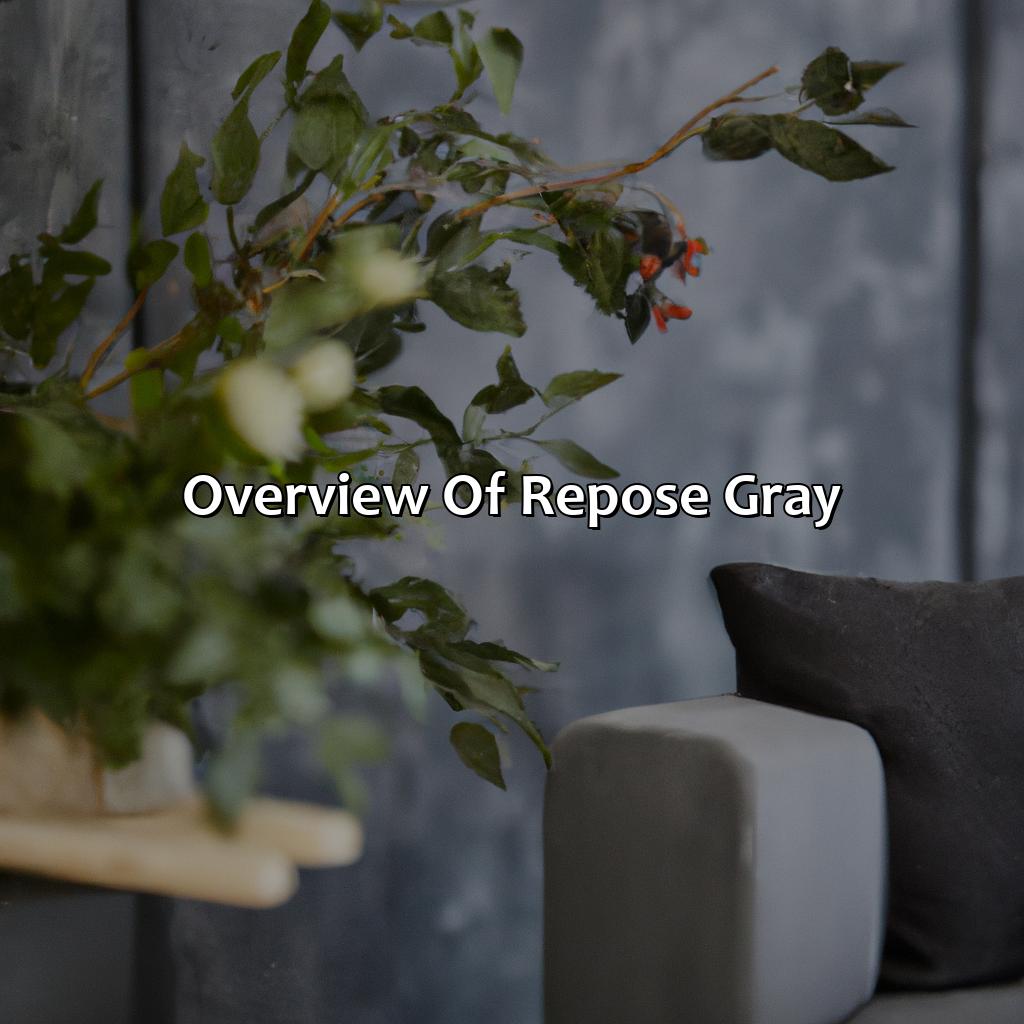 Overview Of Repose Gray  - What Is A Good Accent Color For Repose Gray, 