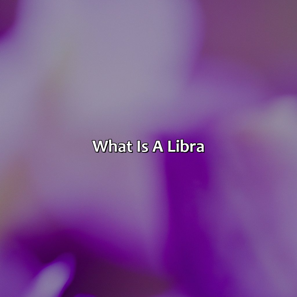 What Is A Libra?  - What Is A Libra