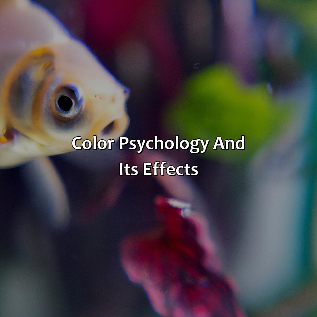 Color Psychology And Its Effects  - What Is A Pisces Favorite Color, 