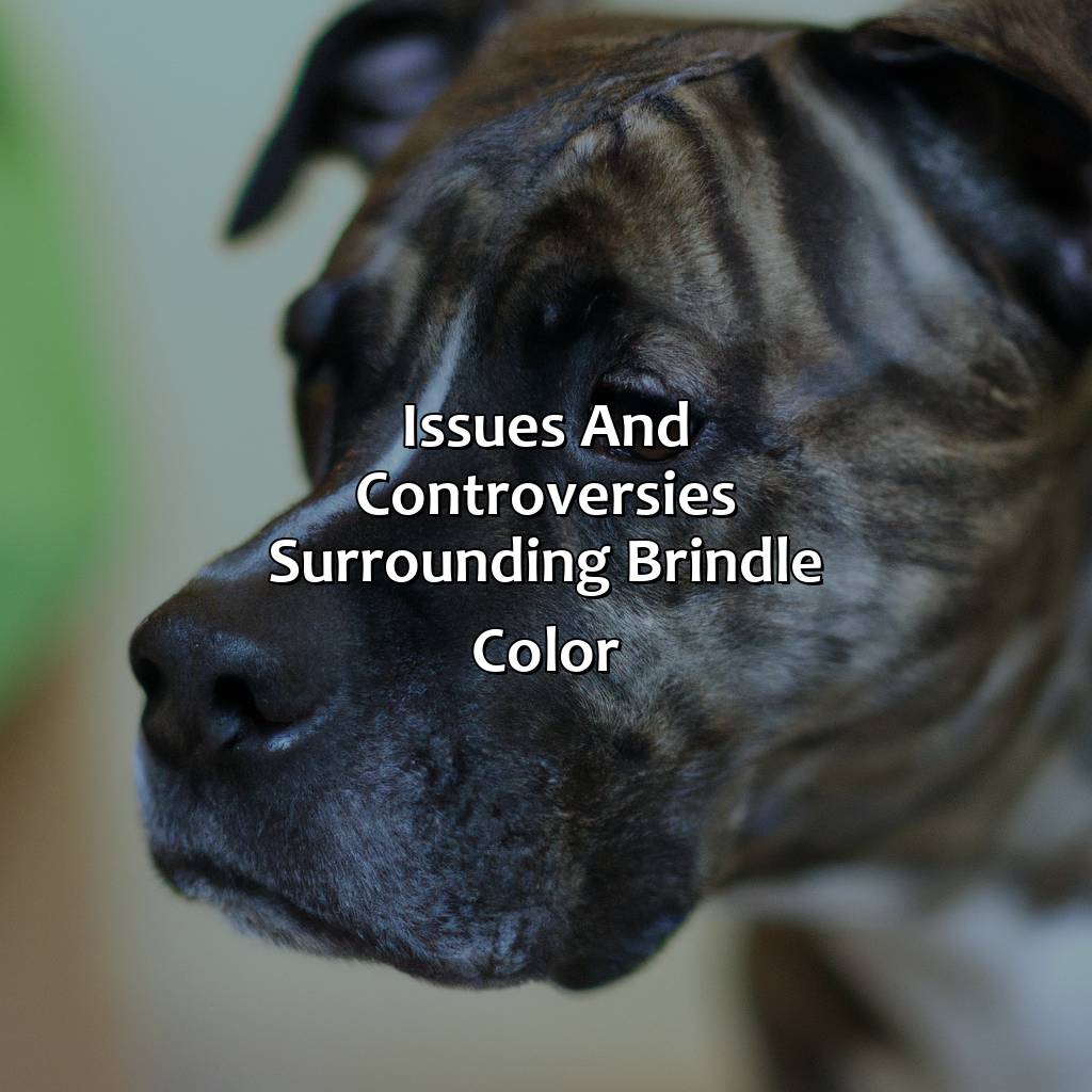 Issues And Controversies Surrounding Brindle Color  - What Is Brindle Color, 