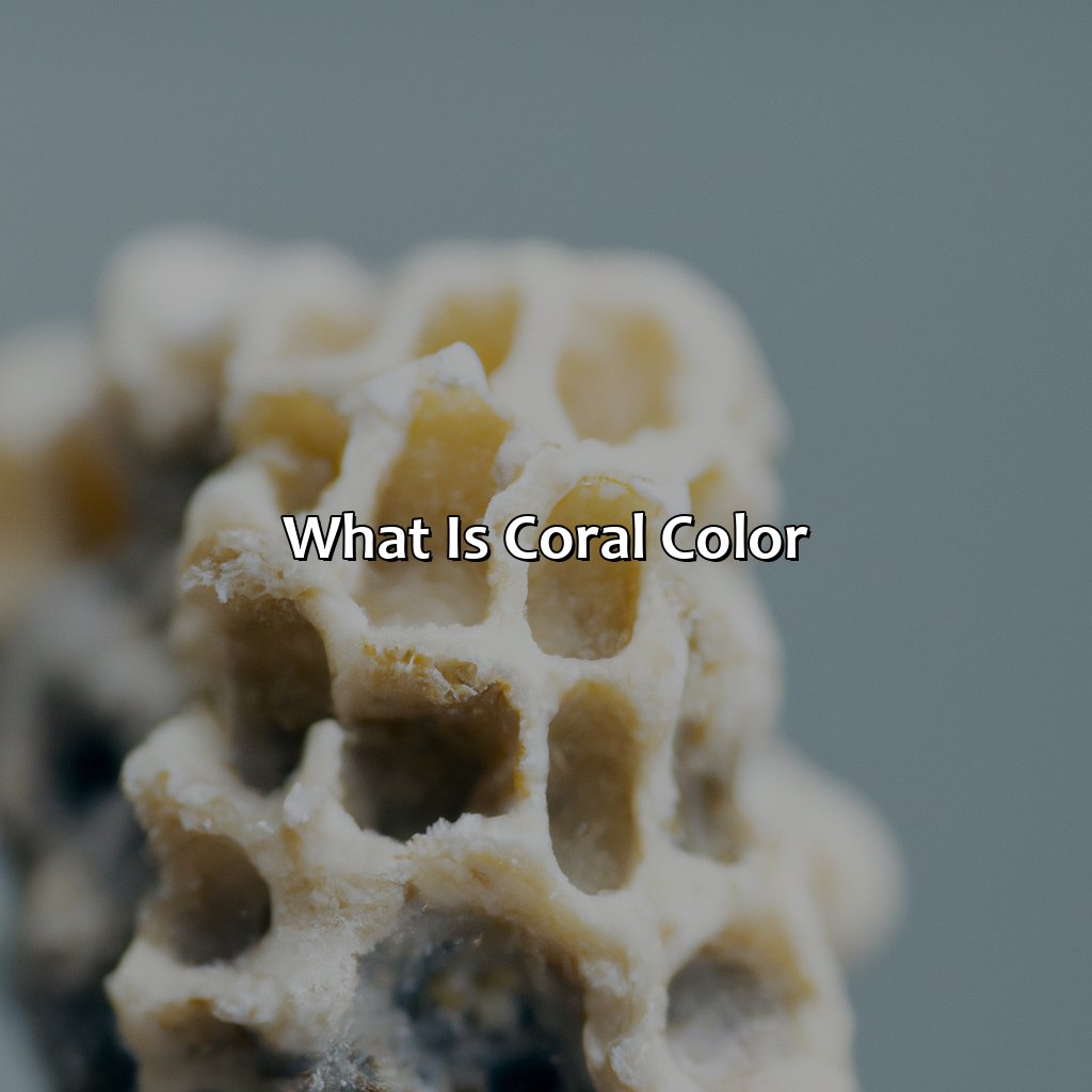 What Is Coral Color?  - What Is Coral Color, 