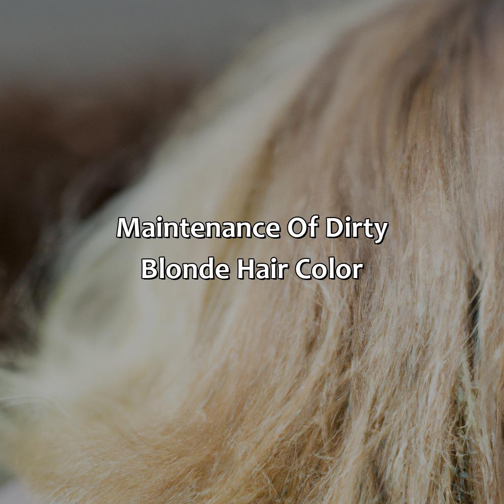 Maintenance Of Dirty Blonde Hair Color  - What Is Dirty Blonde Hair Color, 