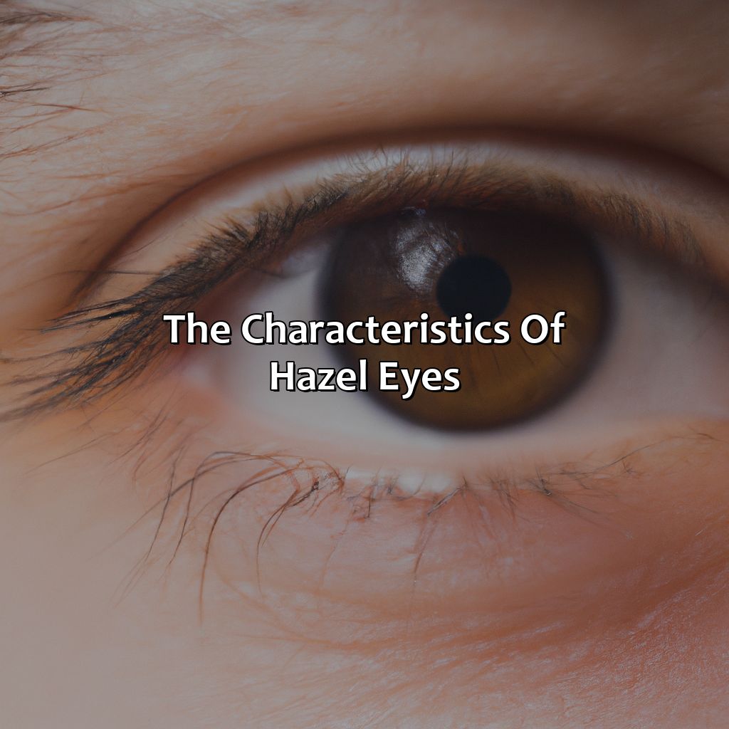 The Characteristics Of Hazel Eyes  - What Is Hazel Color, 
