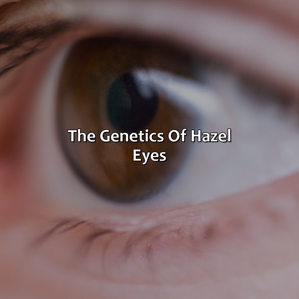 The Genetics Of Hazel Eyes  - What Is Hazel Color, 
