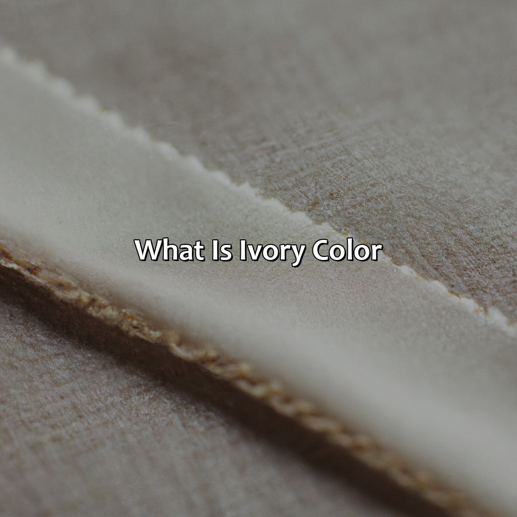 What Is Ivory Color - colorscombo.com