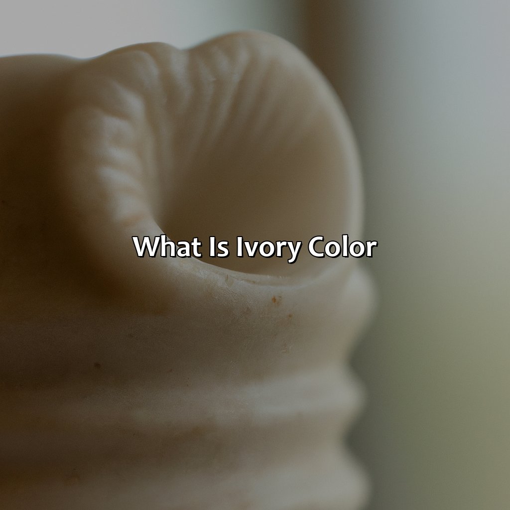 What Is Ivory Color?  - What Is Ivory Color, 