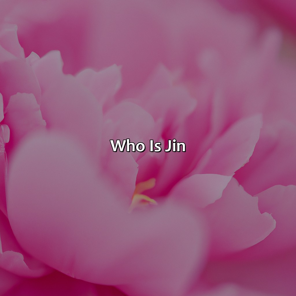 Who Is Jin?  - What Is Jin Favorite Color, 