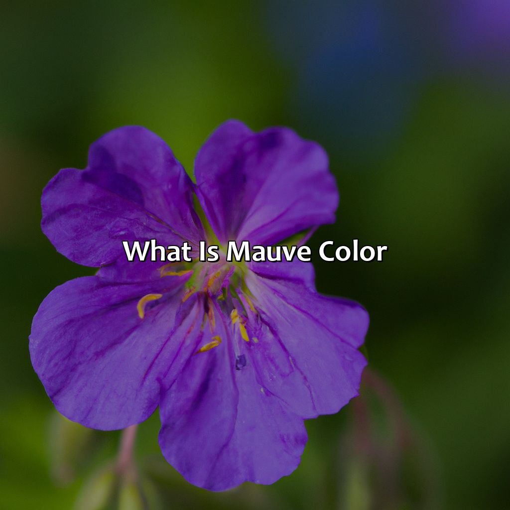 What Is Mauve Color?  - What Is Mauve Color, 