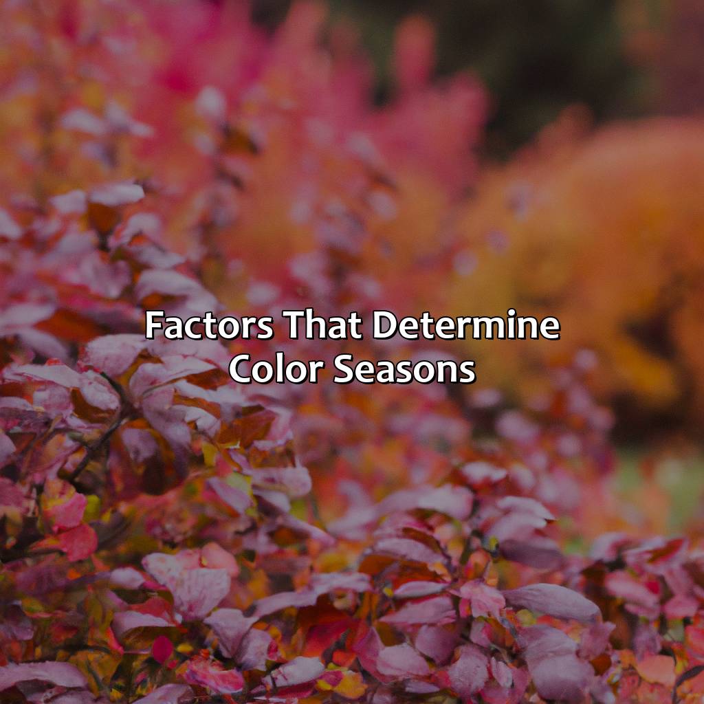 Factors That Determine Color Seasons  - What Is My Color Season Quiz, 