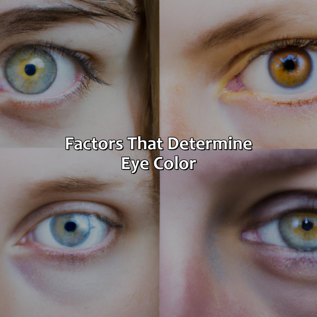 Factors That Determine Eye Color  - What Is My Eye Color, 