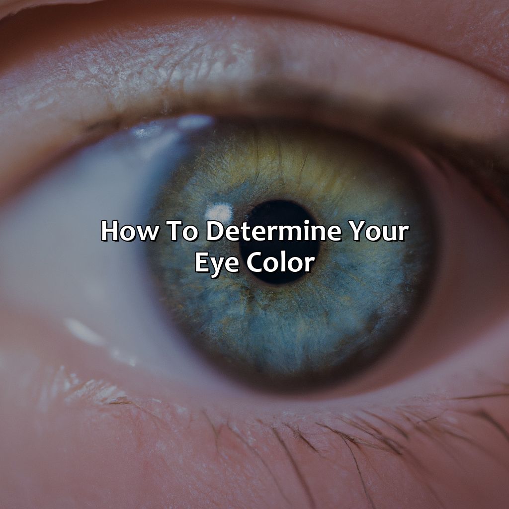 How To Determine Your Eye Color  - What Is My Eye Color, 
