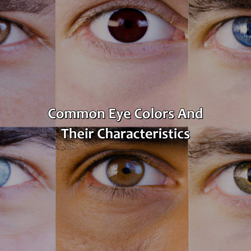 Common Eye Colors And Their Characteristics  - What Is My Eye Color, 