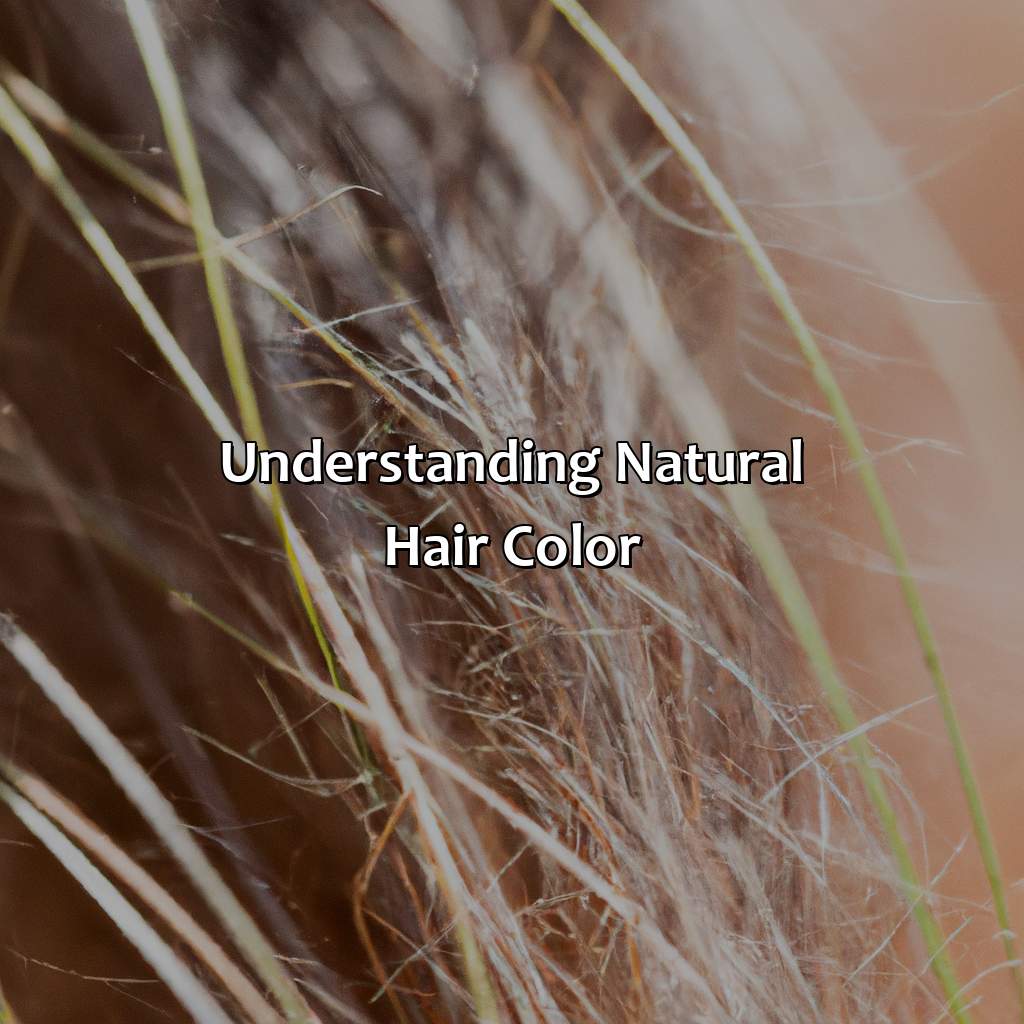 Understanding Natural Hair Color  - What Is My Natural Hair Color, 