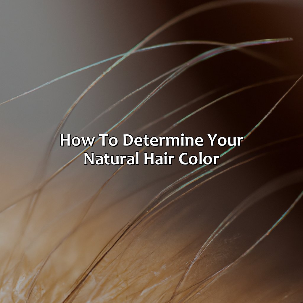 How To Determine Your Natural Hair Color  - What Is My Natural Hair Color, 