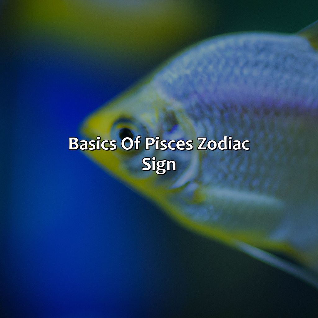 Basics Of Pisces Zodiac Sign  - What Is Pisces Favorite Color, 