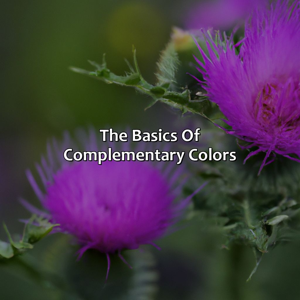 The Basics Of Complementary Colors  - What Is Purples Complementary Color, 