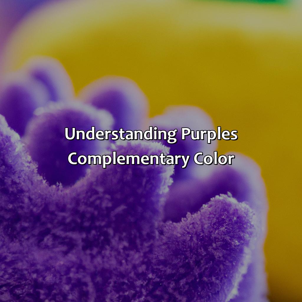 Understanding Purple