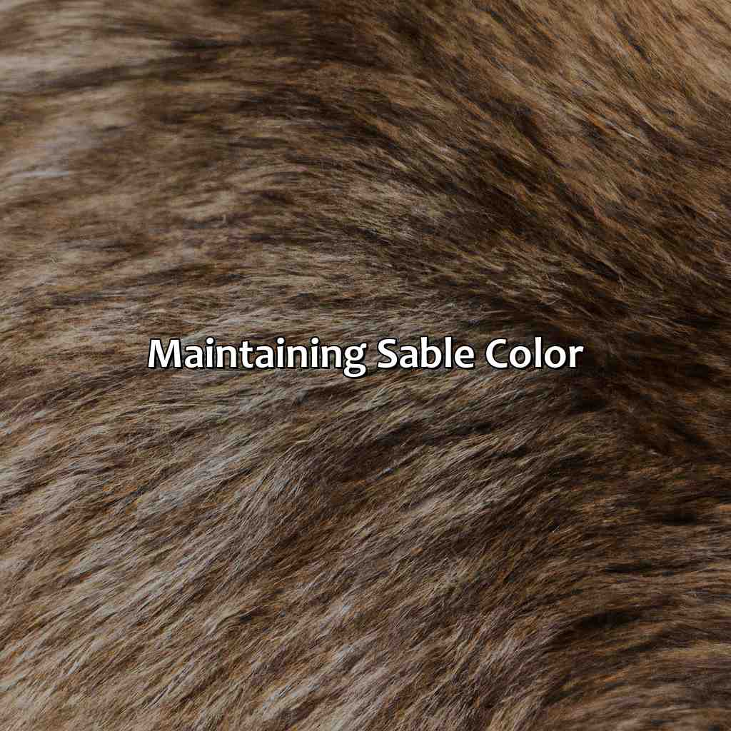 Maintaining Sable Color  - What Is Sable Color, 