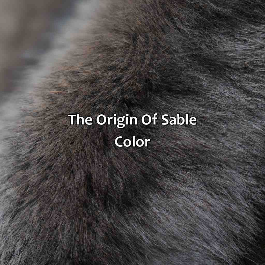 The Origin Of Sable Color  - What Is Sable Color, 