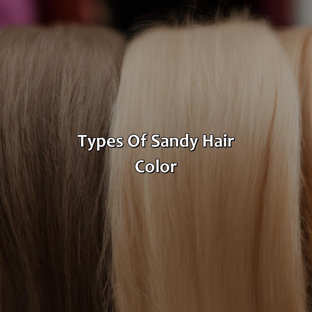 Types Of Sandy Hair Color  - What Is Sandy Hair Color, 