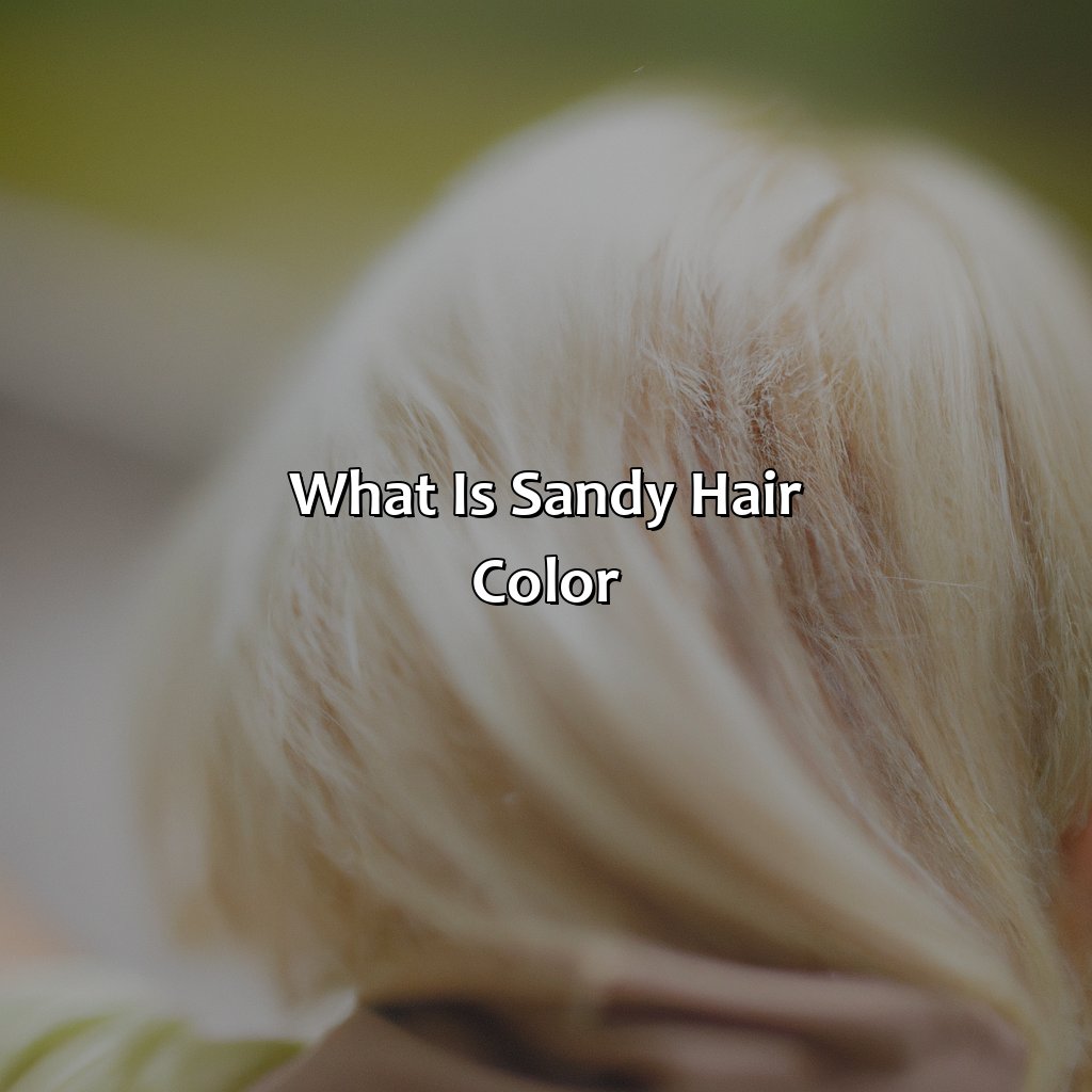 What Is Sandy Hair Color?  - What Is Sandy Hair Color, 