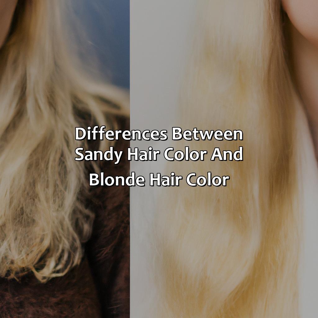 Differences Between Sandy Hair Color And Blonde Hair Color  - What Is Sandy Hair Color, 