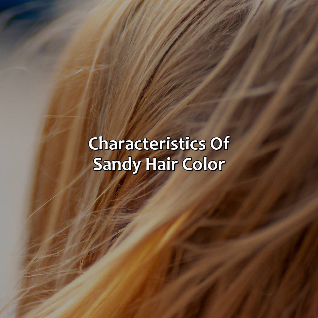 Characteristics Of Sandy Hair Color  - What Is Sandy Hair Color, 