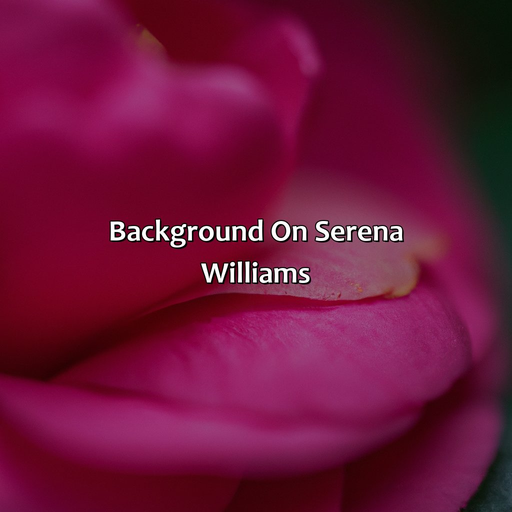 Background On Serena Williams  - What Is Serena Williams Favorite Color, 