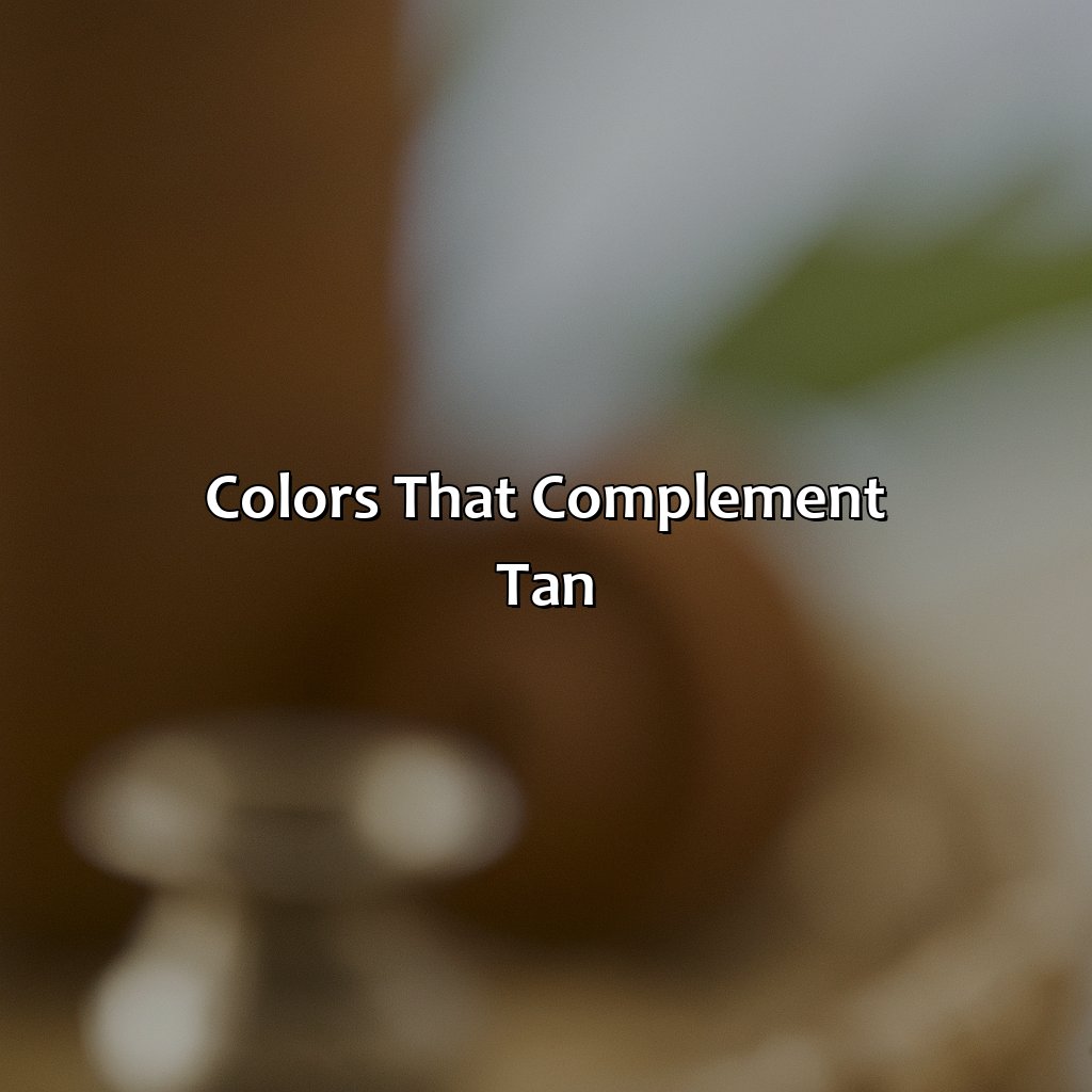 Colors That Complement Tan  - What Is Tan Color, 