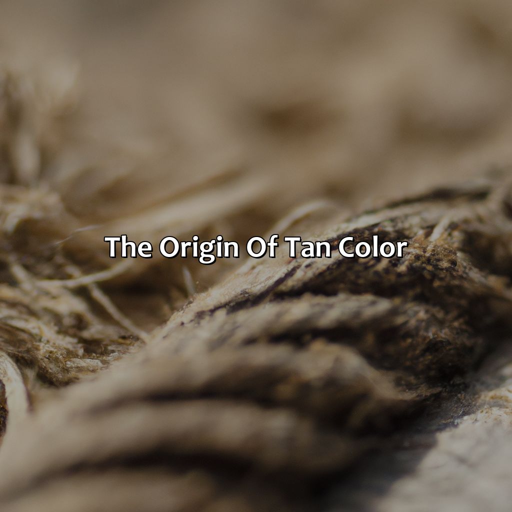 The Origin Of Tan Color  - What Is Tan Color, 