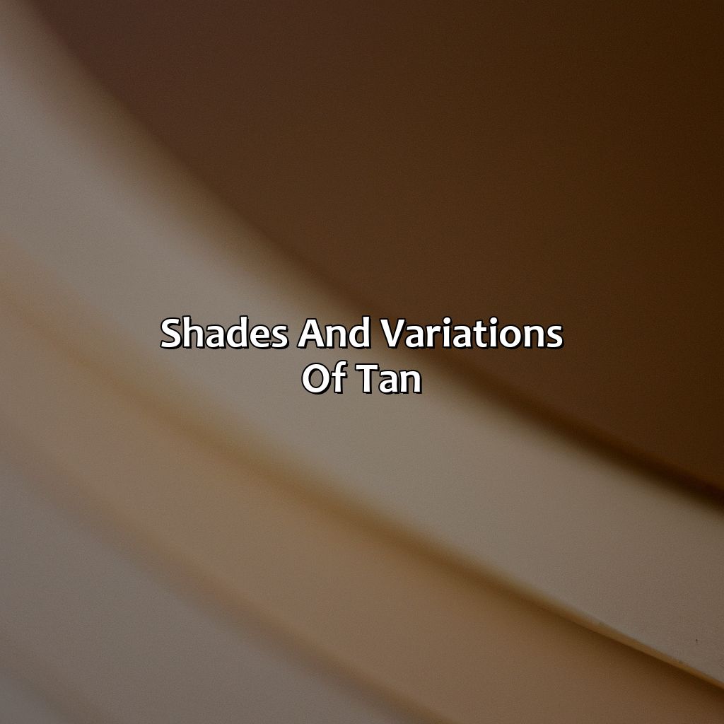 Shades And Variations Of Tan  - What Is Tan Color, 