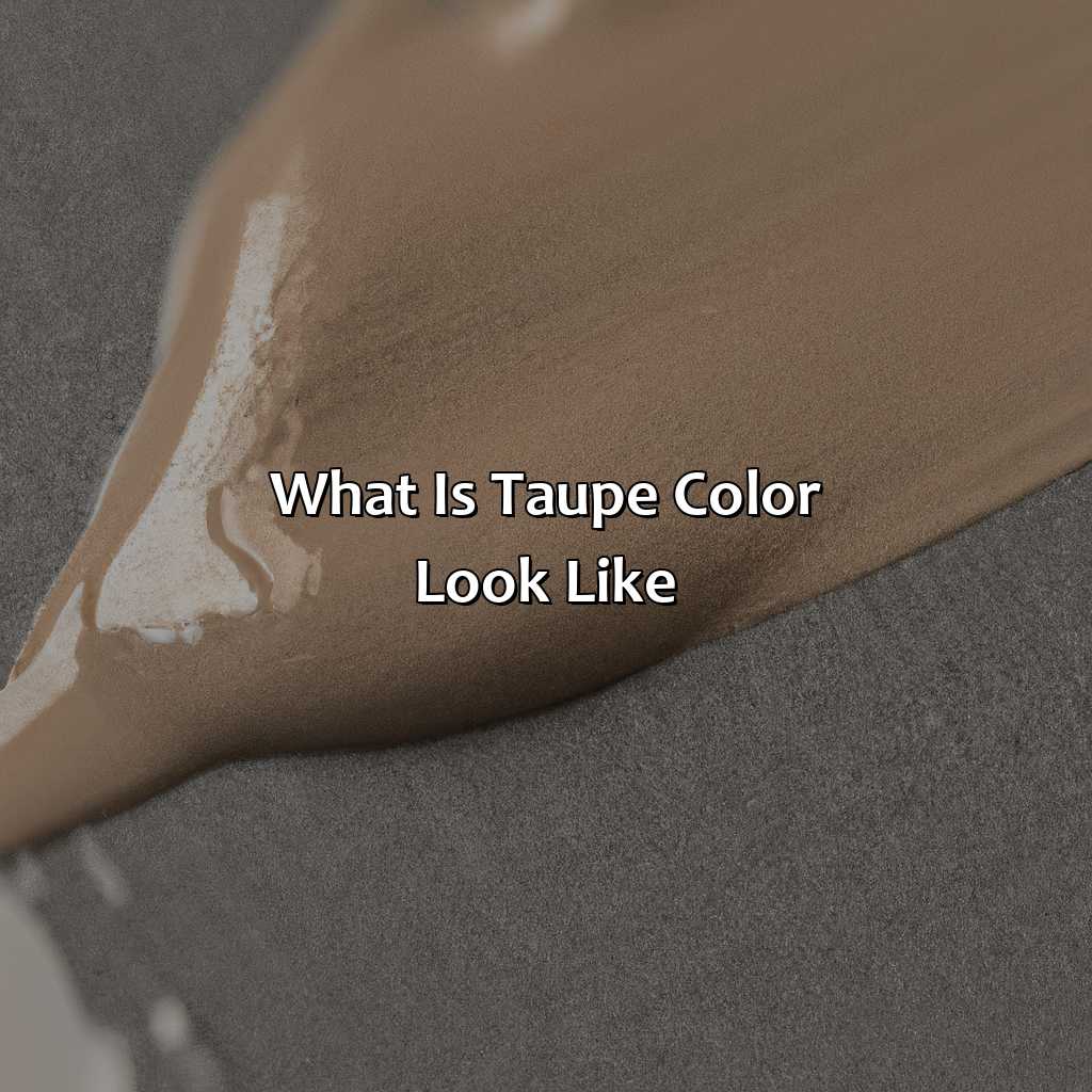What Is Taupe Color Look Like - colorscombo.com