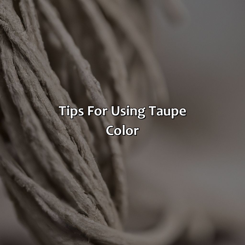 Tips For Using Taupe Color  - What Is Taupe Color Look Like, 