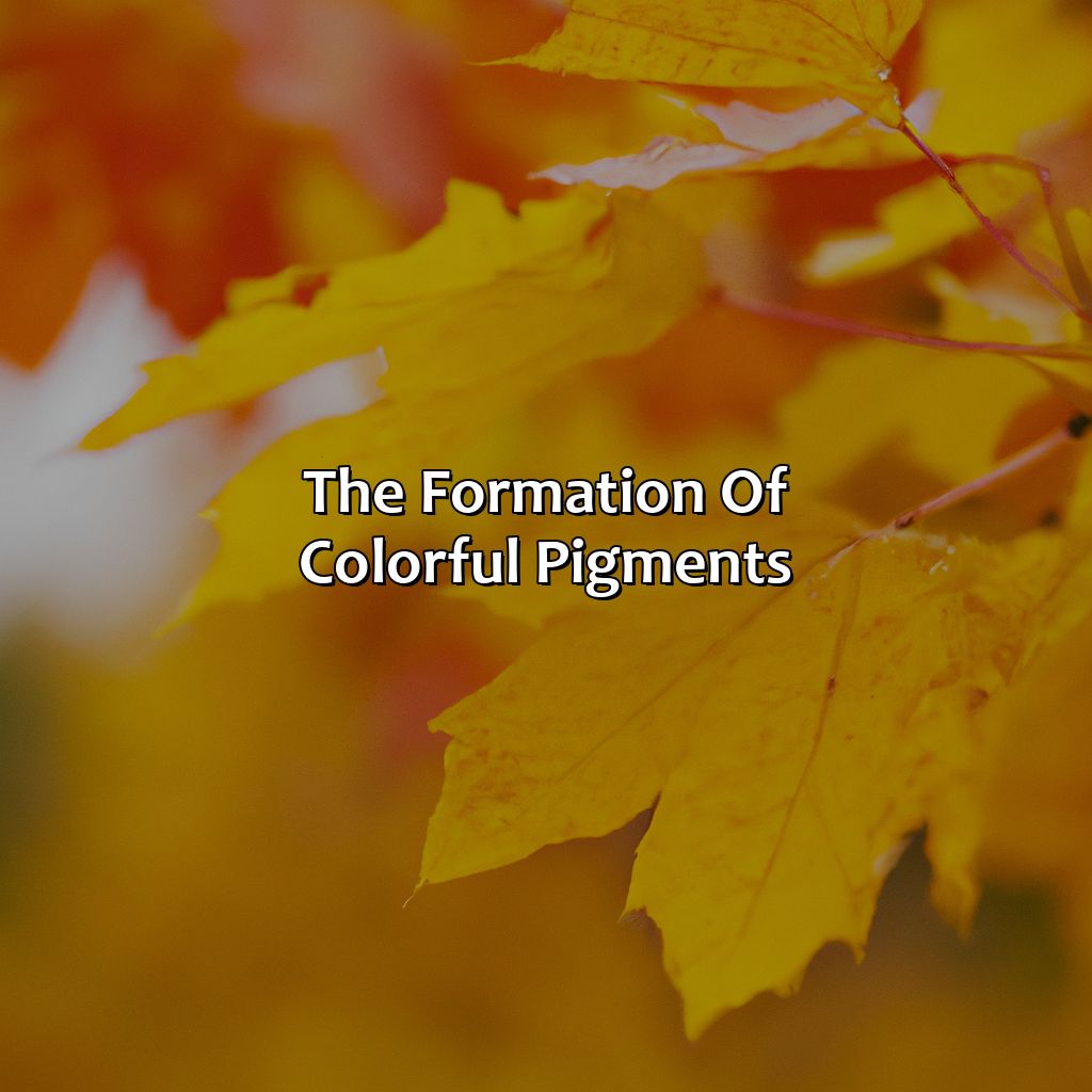 The Formation Of Colorful Pigments  - What Is The Author