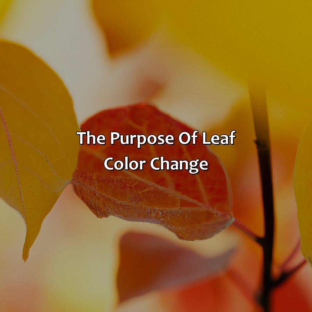 The Purpose Of Leaf Color Change  - What Is The Author