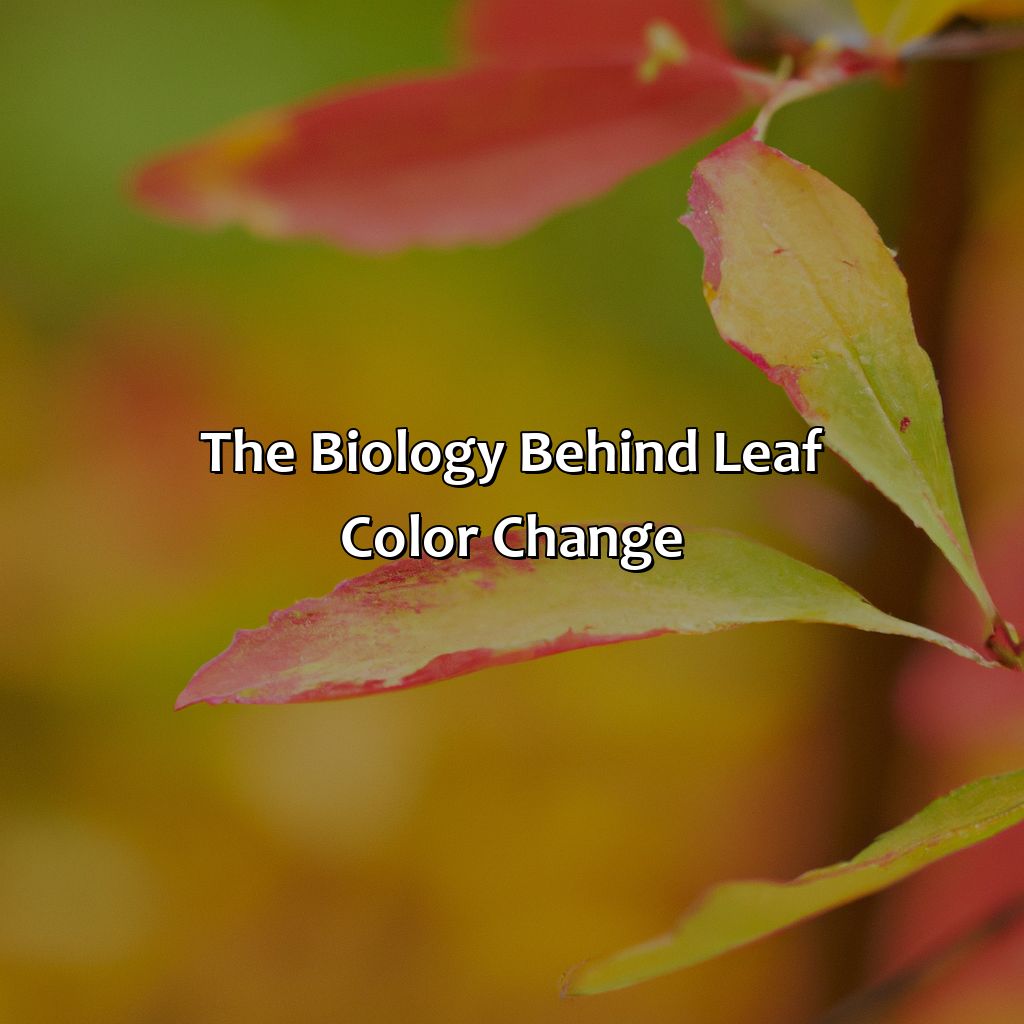 The Biology Behind Leaf Color Change  - What Is The Author