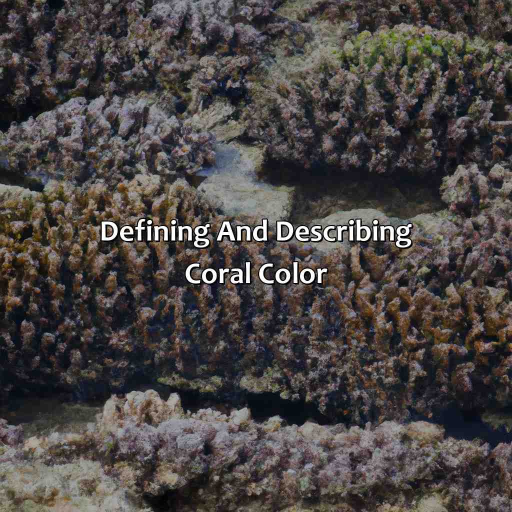 Defining And Describing Coral Color  - What Is The Color Coral, 
