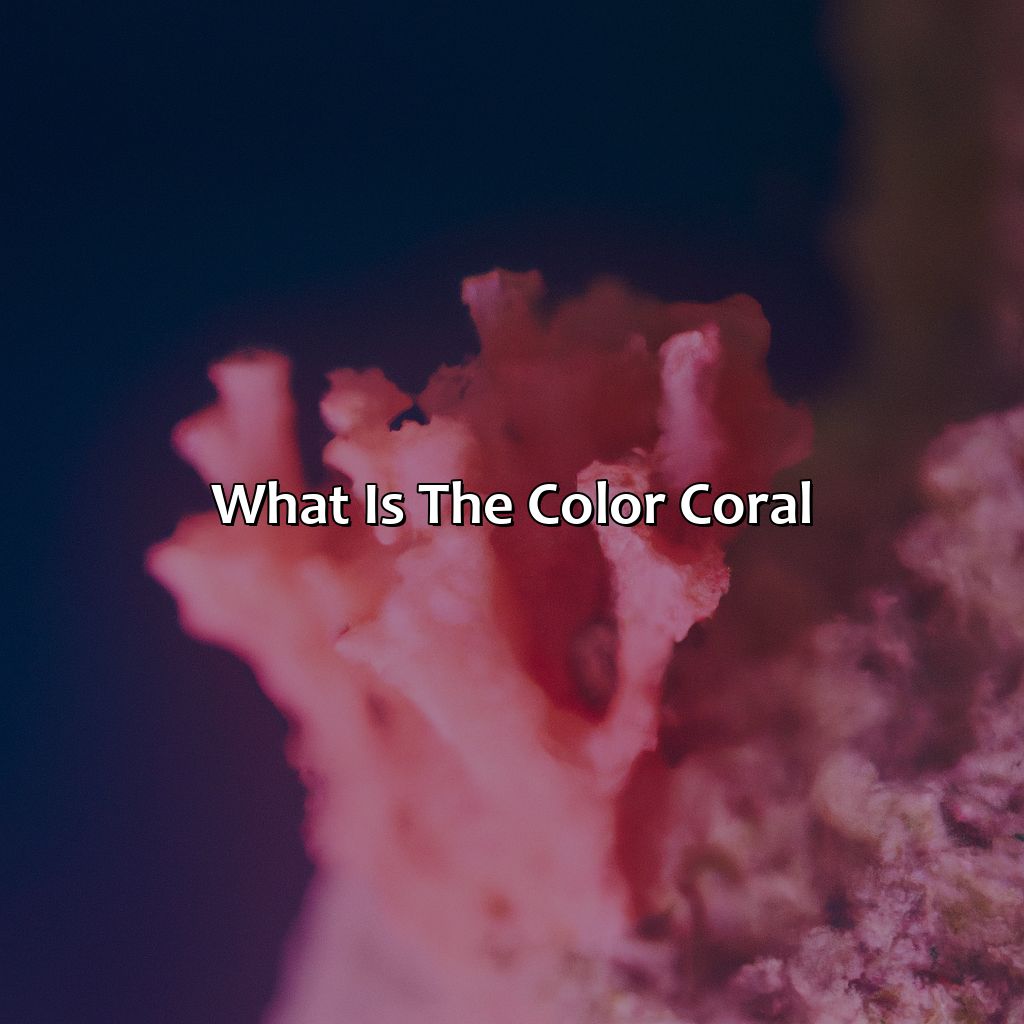What Is The Color Coral - colorscombo.com