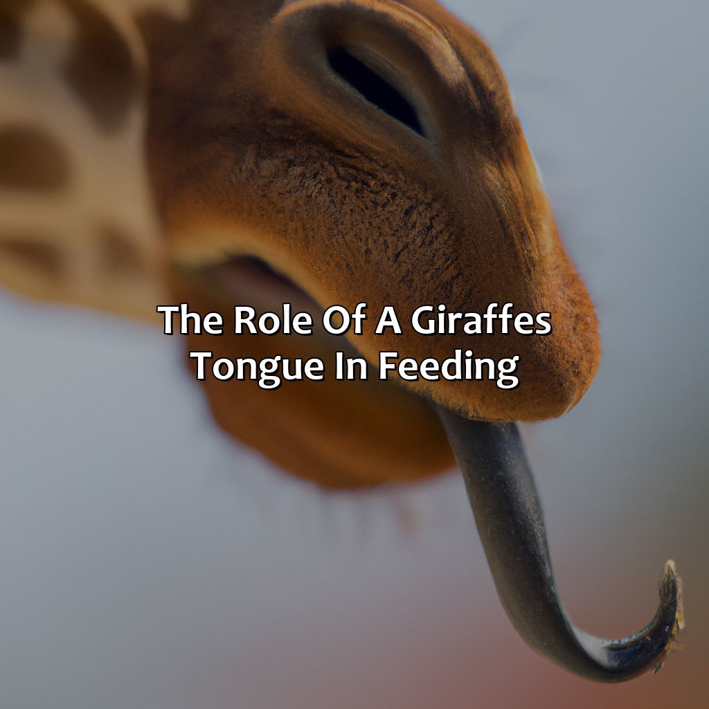 The Role Of A Giraffe
