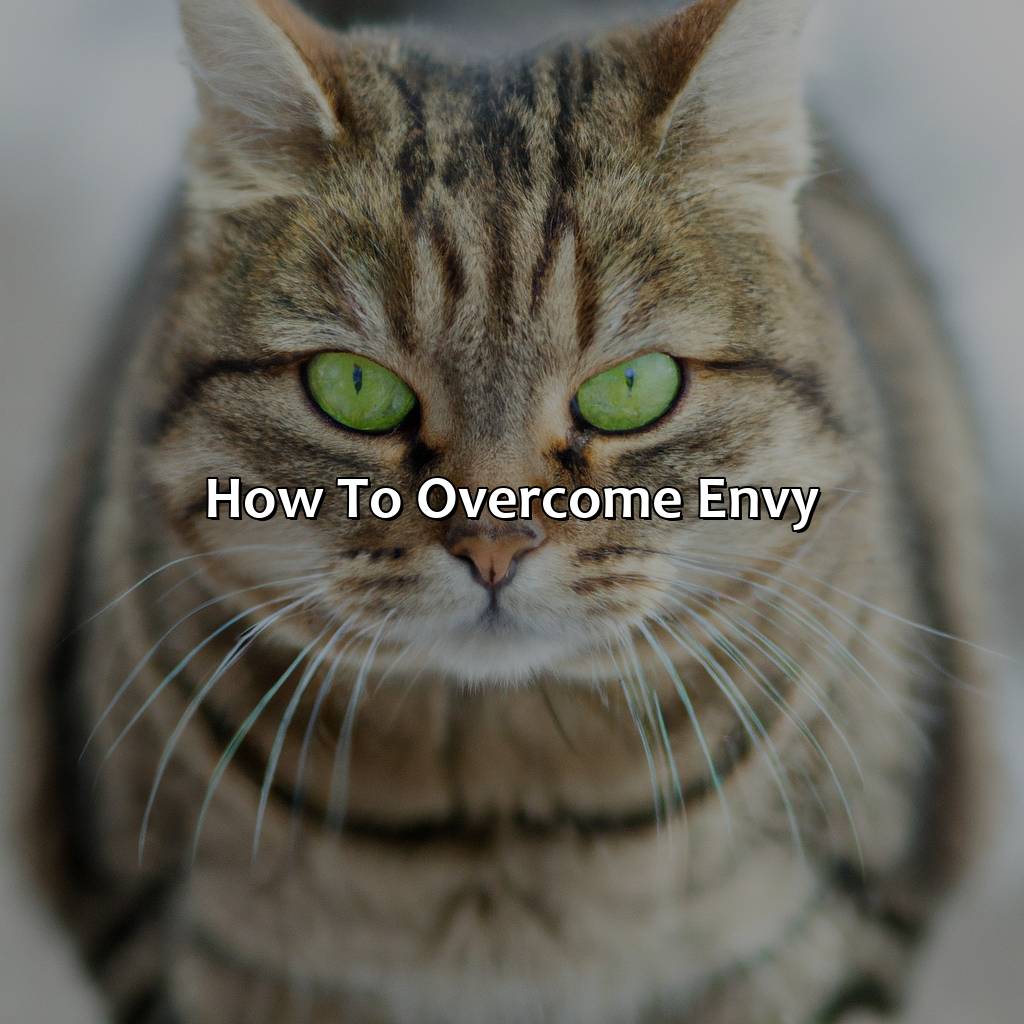 How To Overcome Envy  - What Is The Color Of Envy, 