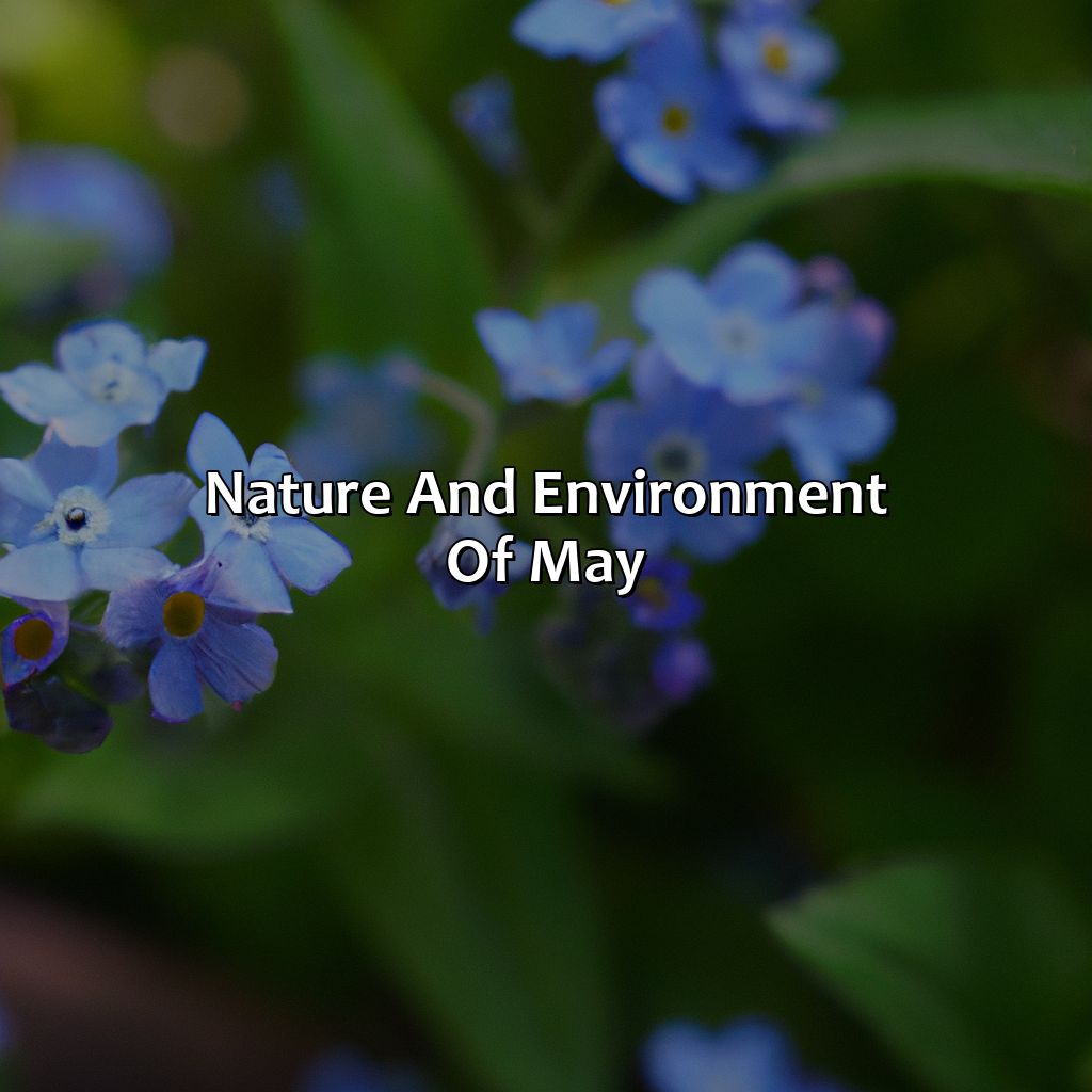 Nature And Environment Of May  - What Is The Color Of May, 