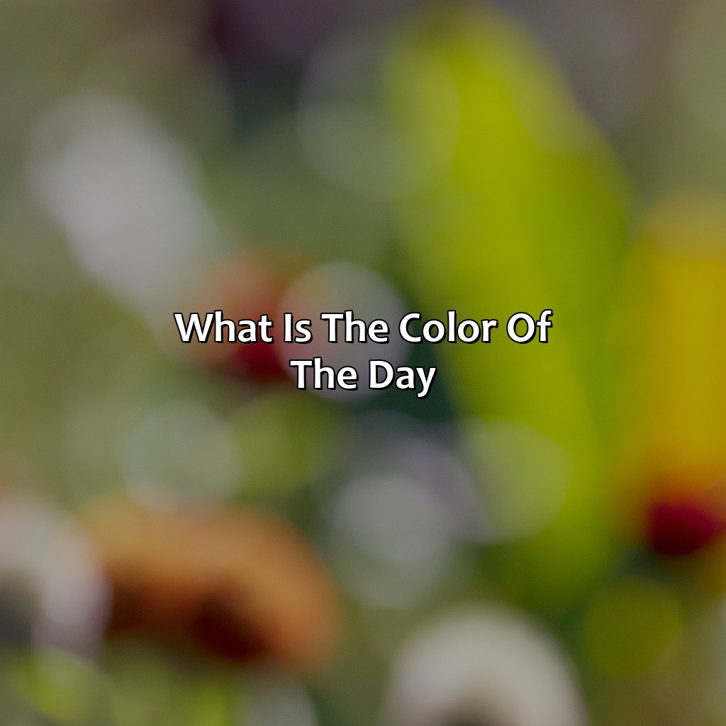 What Is The Color Of The Day - colorscombo.com