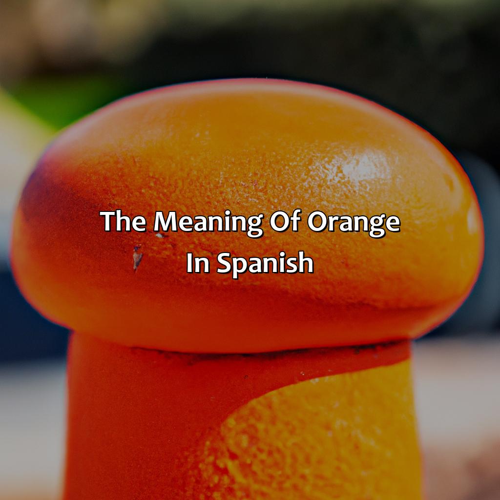 The Meaning Of "Orange" In Spanish  - What Is The Color Orange In Spanish, 
