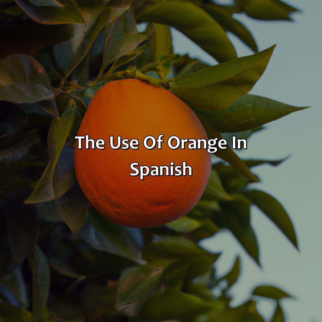 The Use Of "Orange" In Spanish  - What Is The Color Orange In Spanish, 