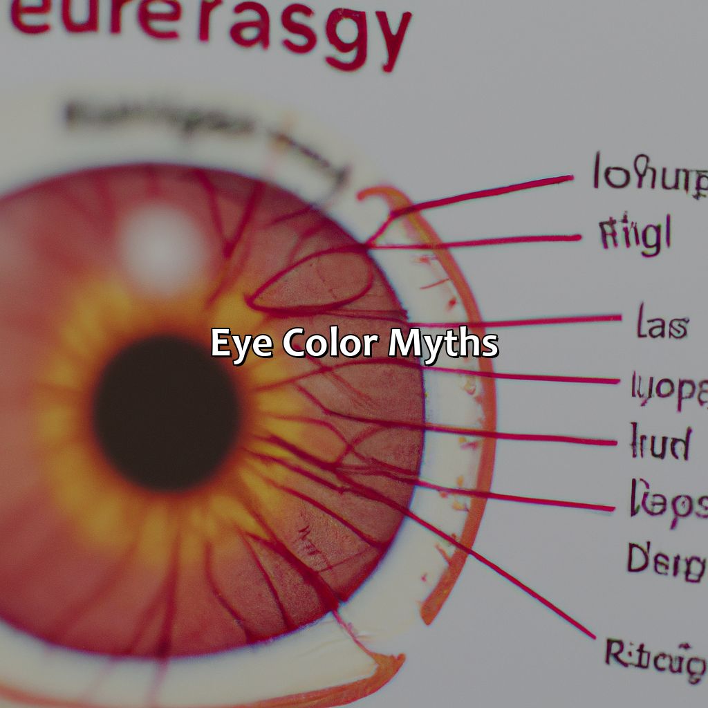 Eye Color Myths  - What Is The Color Part Of Your Eye Called, 
